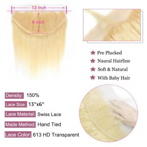 maady hair luxury asian raw hair 13x6 straight hd frontal #613